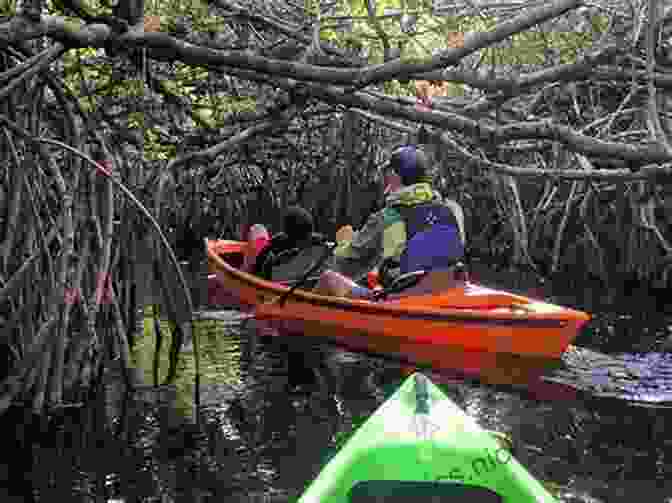 A Group Of Kayakers Exploring The Everglades Moon Florida Keys: With Miami The Everglades (Travel Guide)