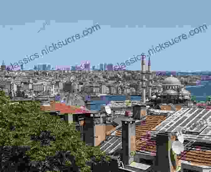 A Panoramic View Of Istanbul's Skyline, Showcasing Its Iconic Minarets And The Golden Horn Between The Woods And The Water: On Foot To Constantinople: From The Middle Danube To The Iron Gates (Journey Across Europe 2)