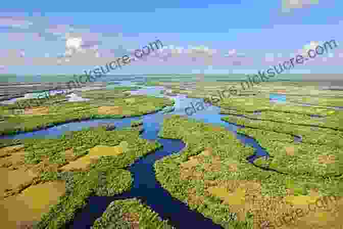 A Scenic View Of The Everglades Moon Florida Keys: With Miami The Everglades (Travel Guide)