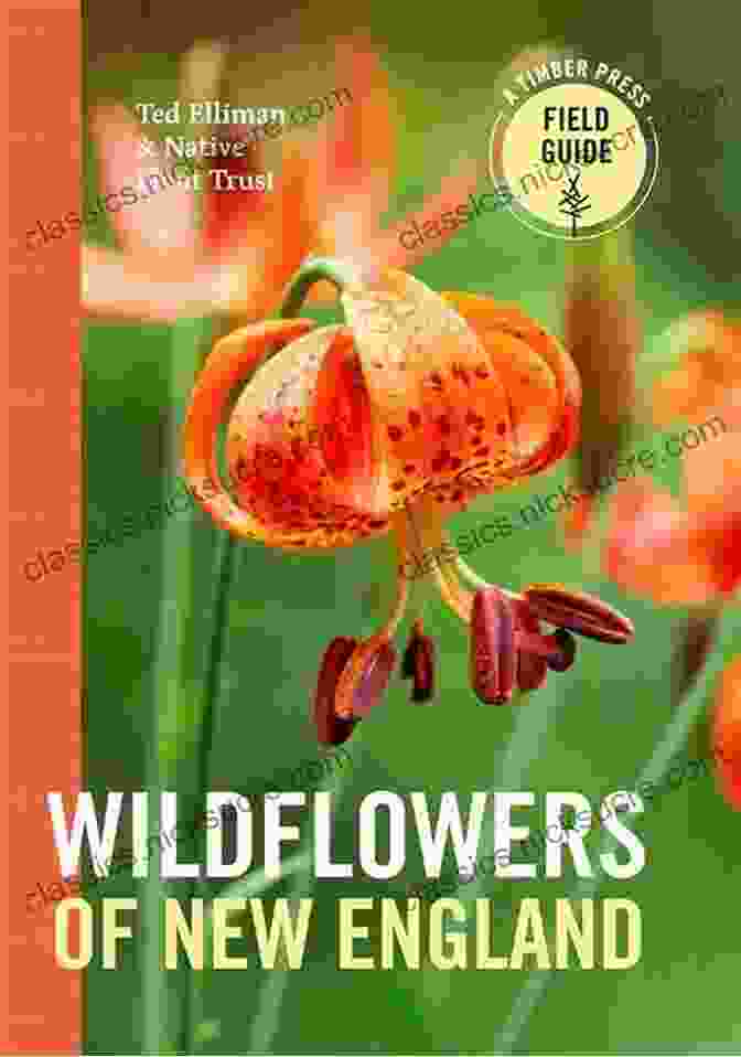 The Wildflowers Of New England Timber Press Field Guide: A Comprehensive Guide To The Flora Of New England Wildflowers Of New England (A Timber Press Field Guide)