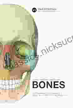 Human Anatomy Flashcards: Bones Jackie Bolen
