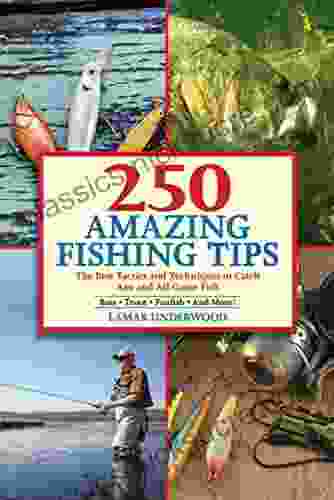 250 Amazing Fishing Tips: The Best Tactics And Techniques To Catch Any And All Game Fish