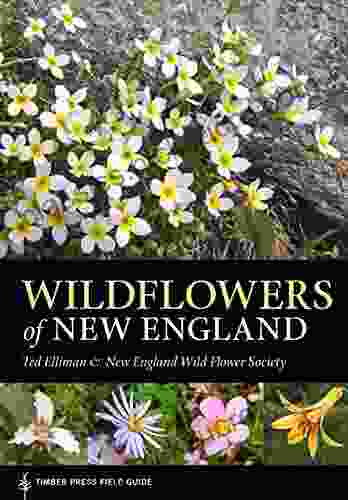Wildflowers Of New England (A Timber Press Field Guide)